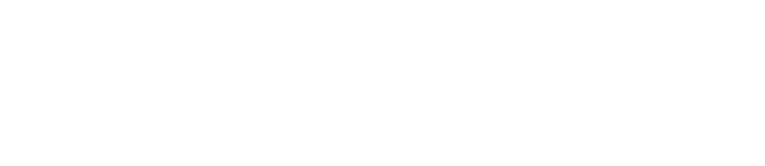DatenIQ
